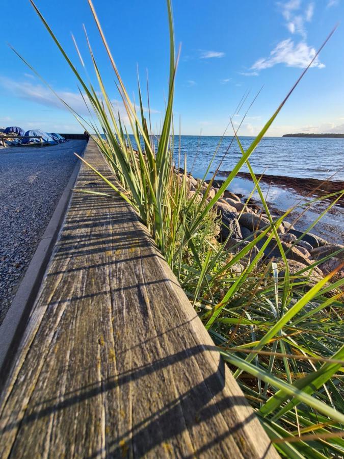 Danhostel Stevns Klint Store Heddinge ภายนอก รูปภาพ